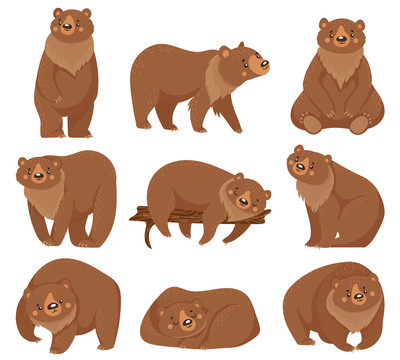 可爱熊慵懒插图
