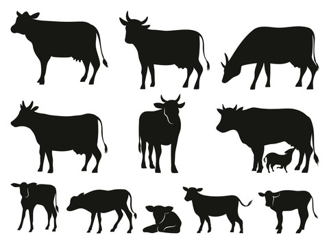黑色牛只剪影图标
