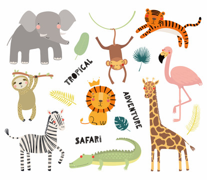 森林动物热带雨林探险插图设计集合
