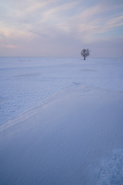 雪野