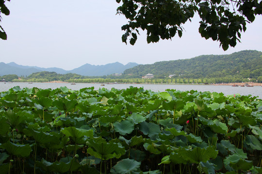 杭州西湖