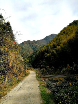 山里土路