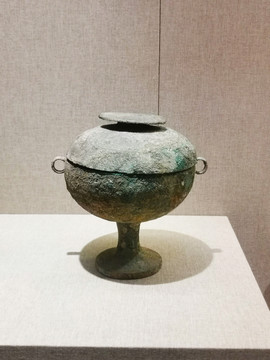 铜豆