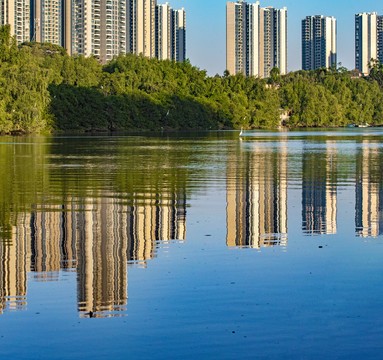 大亚湾湿地公园