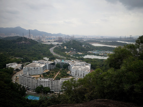 大雁山上俯视石岩