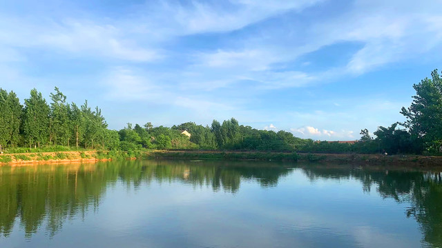 农村鱼塘鱼池风景