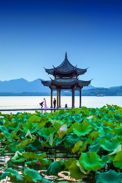 西湖风光
