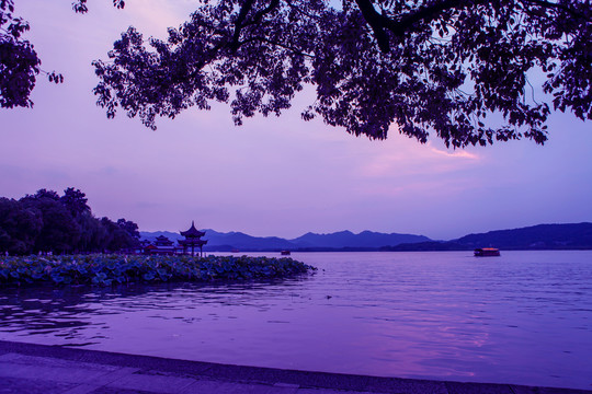 西湖风光