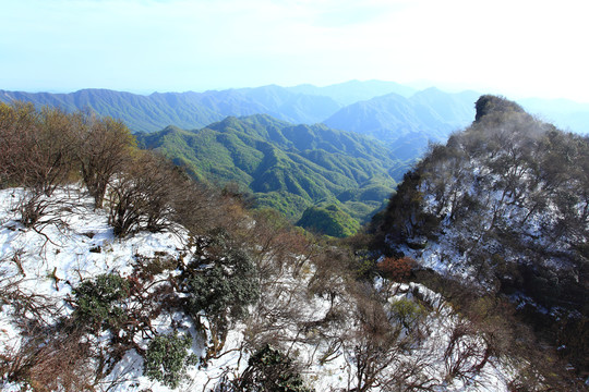 雪景