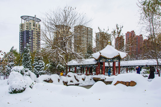 曲折长廊凉亭与假山建筑雪景