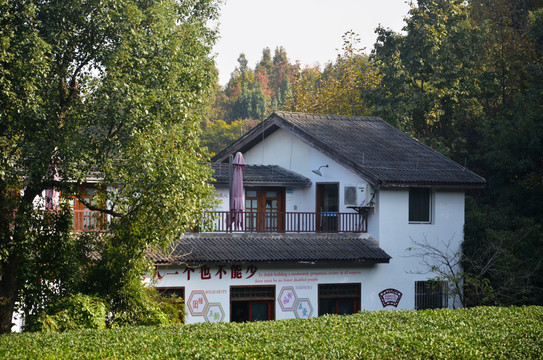 山林庭院