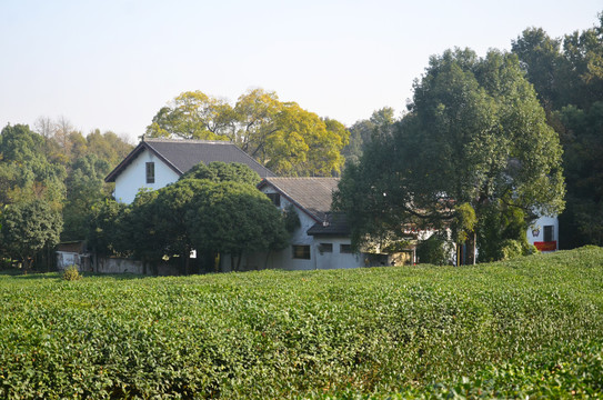 山林庭院