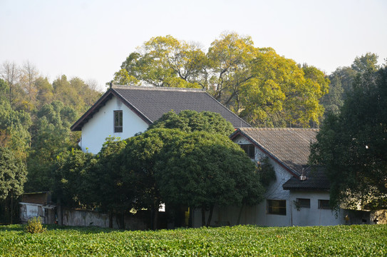 山林庭院