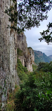 山景