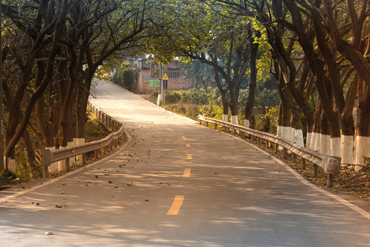 乡村公路