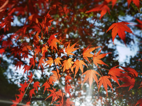 美丽中国