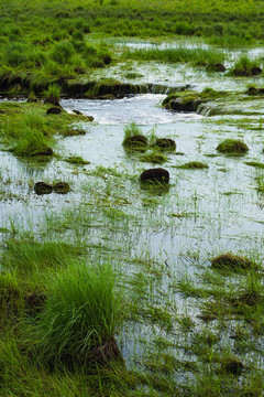 湿地河流下雨