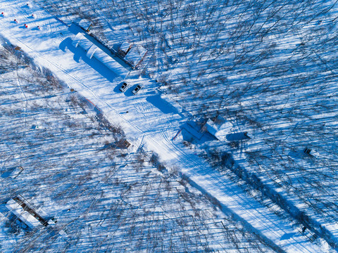 冬季白桦林积雪无人机航拍