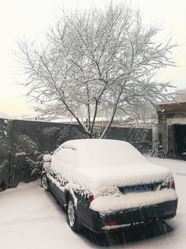 下雪汽车树挂