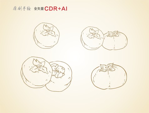 柿子手绘柿子线描矢量柿子线稿