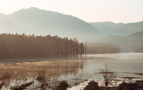 太子山森林公园