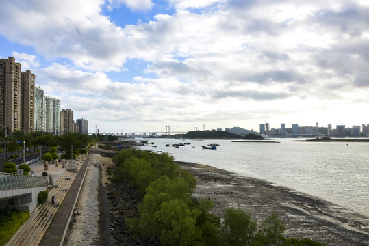 厦门海沧湾