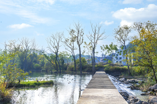 南方乡村冬景