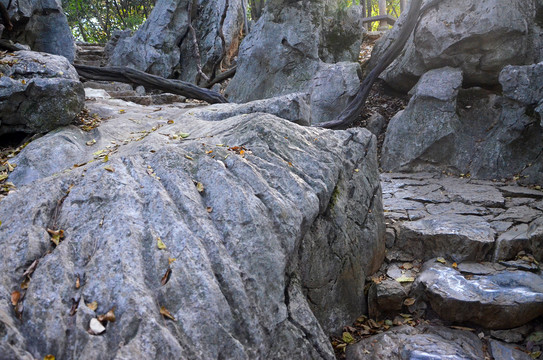 杭州灵隐飞来峰山石