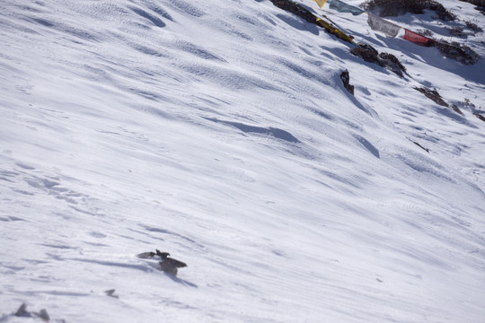 冬季的雪山雪地