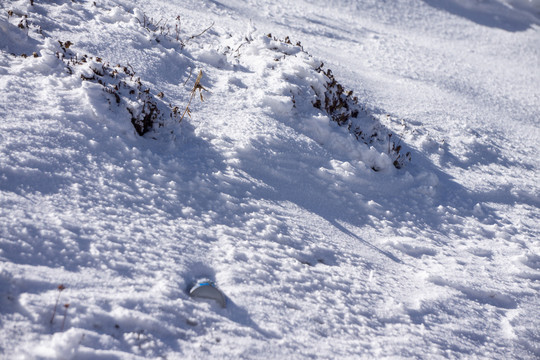 冬季的雪山雪地