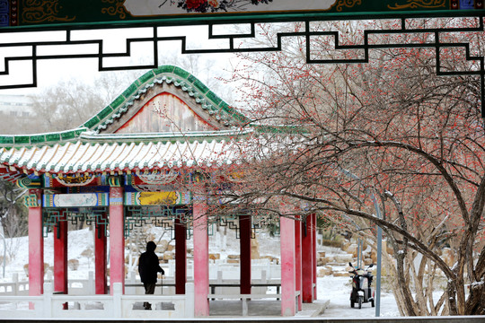 雪中风景