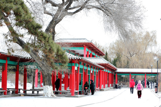 雪中风景