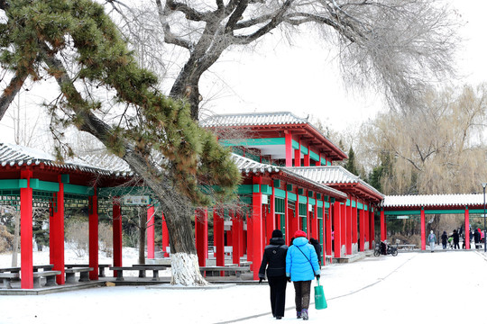 雪中风景