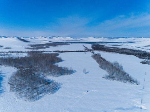 无人机航拍雪原白桦林