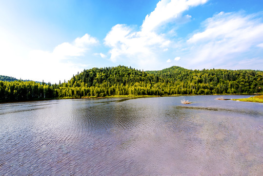 蓝天森林湖水