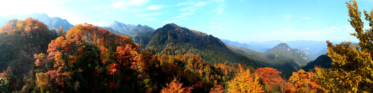 光雾山红叶