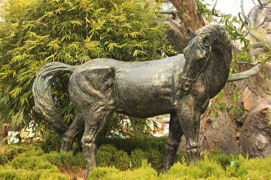青铜马雕塑