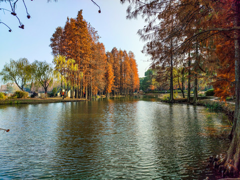 鼋头渚水景园风景八