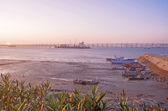 林銮渡滩涂风景