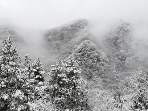 雪景