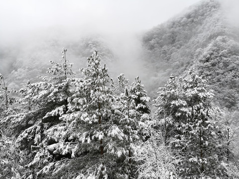 雪景