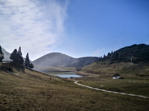 高山草甸