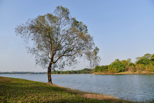 松山湖