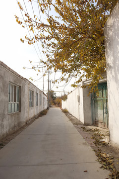 南疆的民居