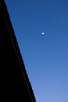 月明之夜