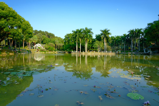 南宁人民公园湖景