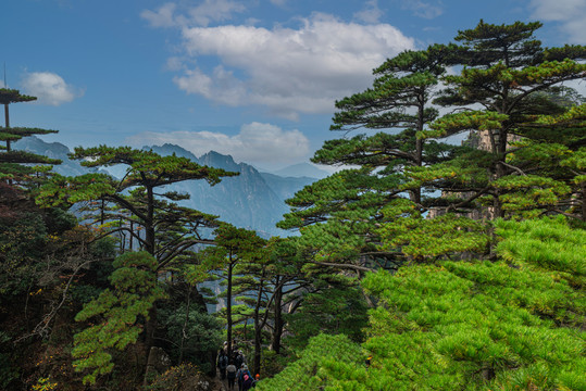 黄山风光