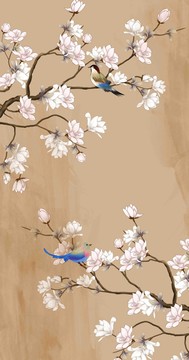 玉兰花鸟背景图
