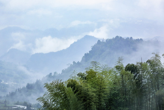 宜宾珙县鹿鸣茶场水墨茶山