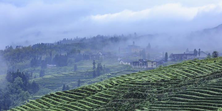 宜宾珙县鹿鸣茶场水墨茶山